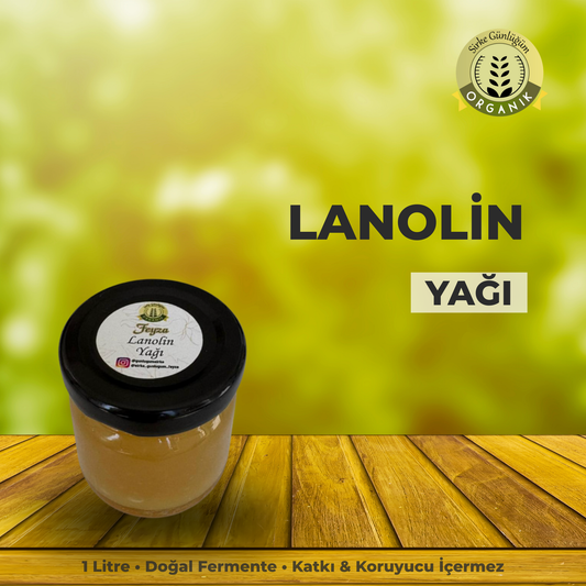 Lanolin Yağı