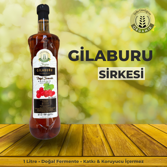 Gilaburu Sirkesi