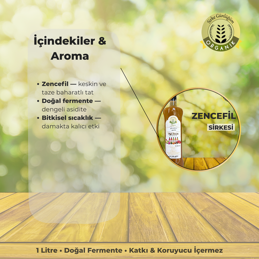 Zencefil Sirkesi
